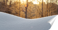   Постер Сугроб снега на фоне леса