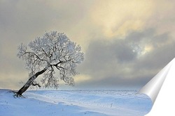   Постер Нарядилась