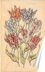   Постер Семь тюльпанов, три божьи коровки 