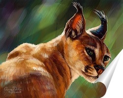  Пегас