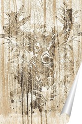  Рисунок карты мира