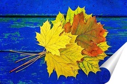   Осенние листья на стекле