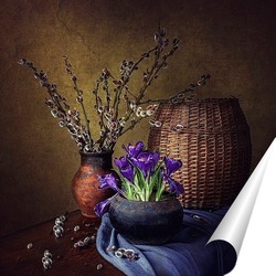  Purple Crocus Flowers in Spring. High quality photo..	