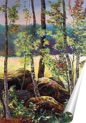   Постер  Камни в лесу