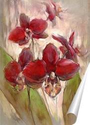   Постер орхидеи без затей
