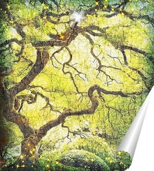  Березы – шторки