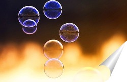   Постер нарядный фон из прозрачных мыльных пузырей на закате
