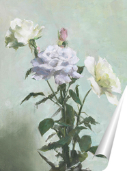   Постер розы по Michael Klein
