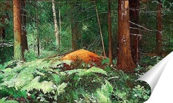   Постер Лесной пейзаж