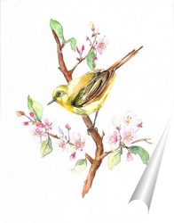   Постер Птица весенняя на ветке акварель