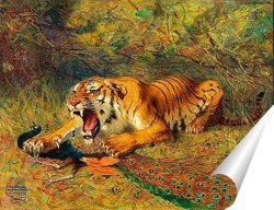  амурский тигр