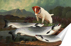   Постер Терьер и три лосося