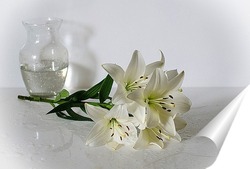  Белые лилии