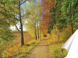  Водопады и леса 23972