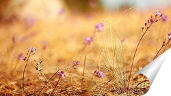  Луга в янтаре