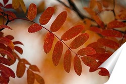  Осенние краски 