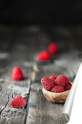  Cherry on a white background