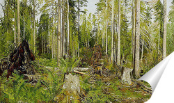   Постер Сосновый лес
