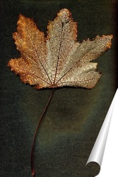   Постер Осенний лист