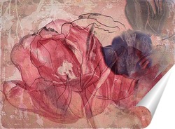  Фиолетовая фиалка
