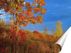 Осенние заморозки