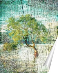  Березы в лесу