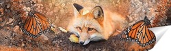  Утренний кофе