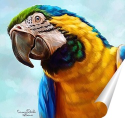   Постер Попугай ара