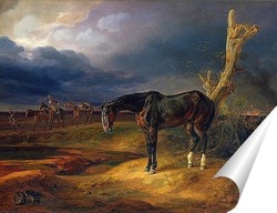  Постер Брошенная лошадь на поле боя в Можайске