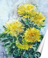   Постер Желтые хризантемы