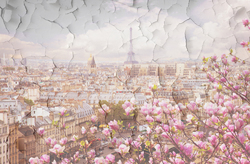   Цветущий Париж