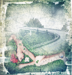    Мост. Иллюзии