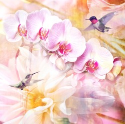    Цветы и колибри