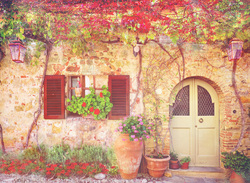   Фасад и виноградная лоза