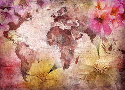   Карта и цветы