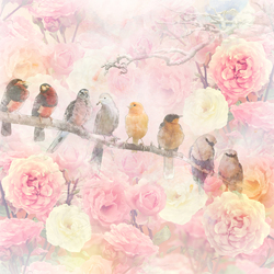   Птицы в розах