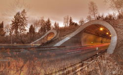    Дорога в тунель