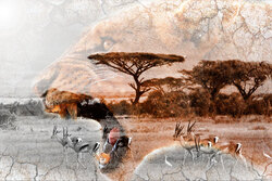 Путешествие