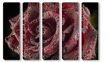Модульная картина Бутон розы в воде