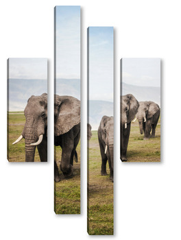 Модульная картина Слоновья семья