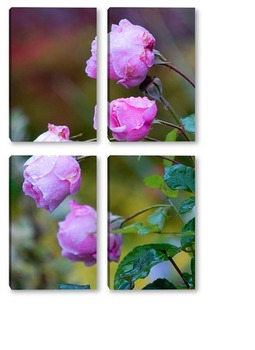 Модульная картина Розовые розы в росе
