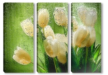Модульная картина Белые тюльпаны 