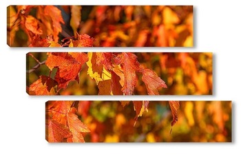 Модульная картина Осенние листья клёна