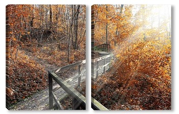 Модульная картина Осенний парк