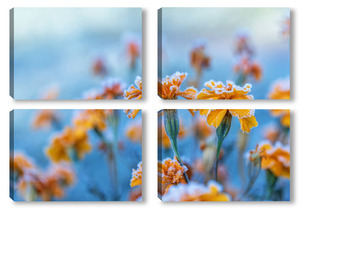 Модульная картина Бархатцы в инее