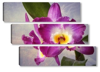 Модульная картина Орхидея дендробиум