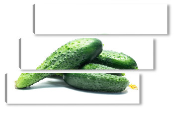 Модульная картина Fresh cucumbers isolated on white