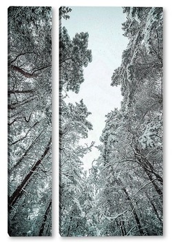 Модульная картина Холод