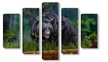 Модульная картина Медведь в лесу