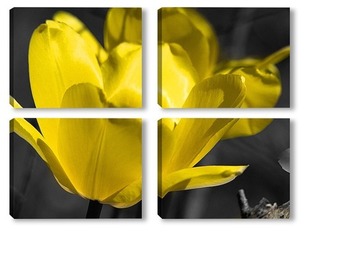 Модульная картина Желтый тюльпан